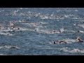 PODOLSKiY swimming team CROSS-CONTINENTAL SWIMMING RACE BOSPHORUS 2016