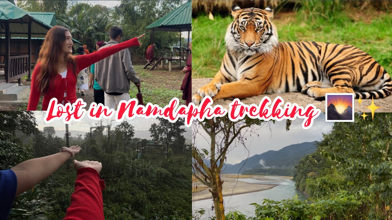 Trekking Through Namdapha’s Deep Forests — An Unforgettable Adventure! 🌲🔥