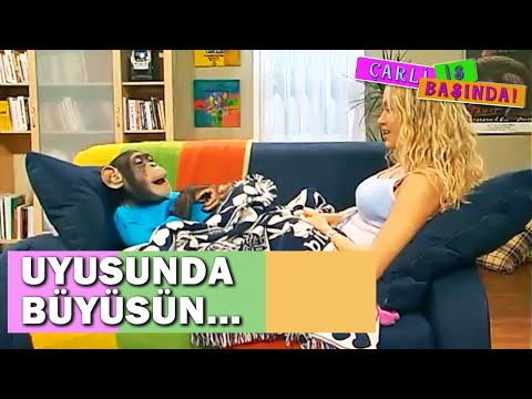 Çarli, Yine Yolunu
