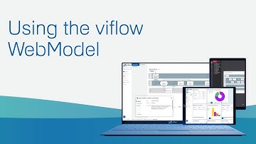 Using the viflow-8-WebModel