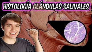 Histología De Las Glándulas Salivales, Claro Y Sin Vueltas