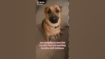 Posting random videos from my camera roll part 33