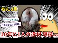 【朗報】なんJに10年に1人の逸材、爆誕ww【2ch面白いスレ】