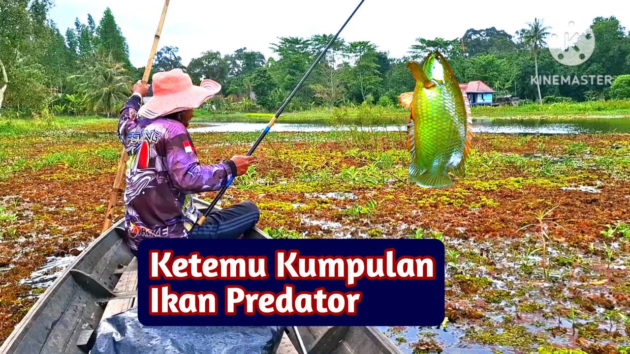 Mancing lokasi ikan monster