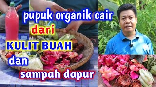 Pupuk Organik Cair Dari Kulit Buah Dan Sdanah Dapur