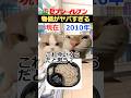 ㊗️100万再生!!【猫ミーム】コンビニ物価の違い #猫ミーム #shorts #catmemes #猫マニ #あるある