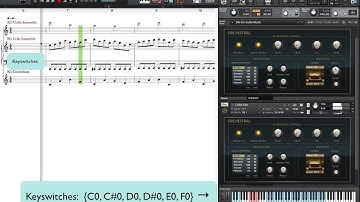 NOTION 5 Kontakt 5 Key Switches