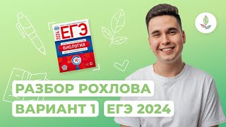 ВАРИАНТ 1 РОХЛОВ ЕГЭ-2024 РАЗБОР // NEOFAMILY