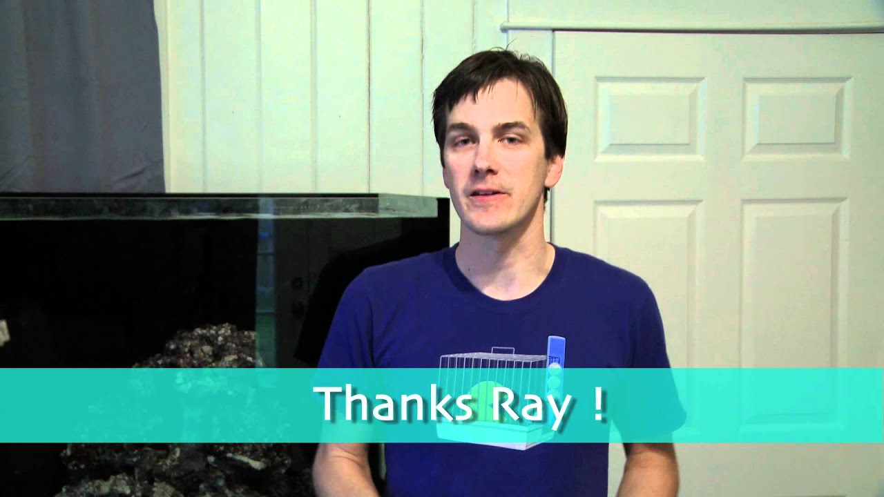 how to videos on tiktok Mr. Saltwater Tank TV Friday Am Quick Tip #71: I'm Accurate As Long As You Keep Me Tuned Up