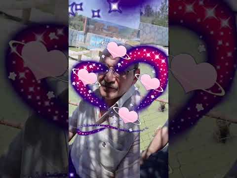 وانت يا ابو فكر سارح وعيون متحيره