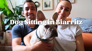 French Bulldog Fun: A Week in Biarritz with Tina  | Vlog