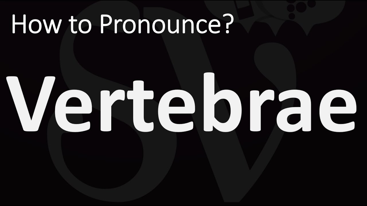 How to Pronounce Vertebrae? (CORRECTLY) YouTube