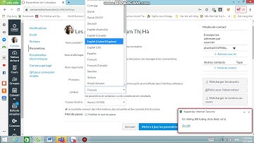 How to change language on Canvas