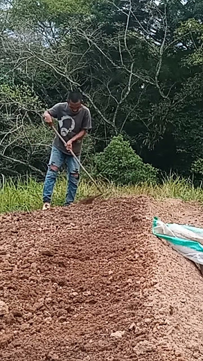 #Persiapan lahan untuk semai sayur bayam...