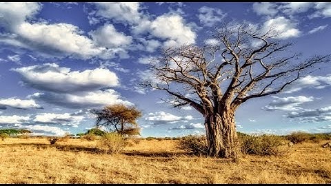 20 - كونكت بلس ثالثه ابتدائى ترم اول   Connect Plus G 3 Unit 5 All about water lesson 1