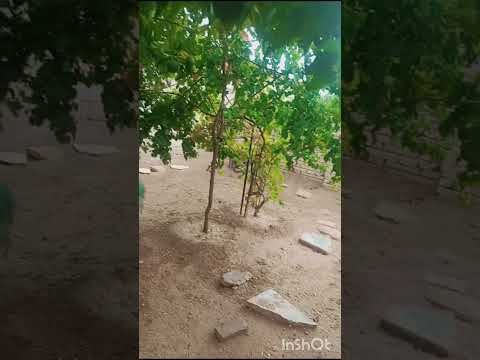 هل نحن في فصل الصيف ام الشتاء اكسبلور