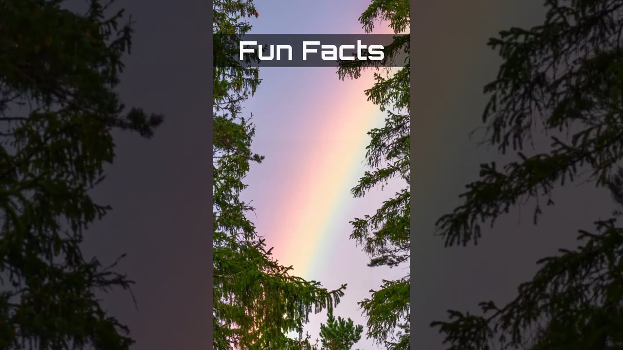 Moonbows Vs Rainbows Fun Facts 31 Shorts