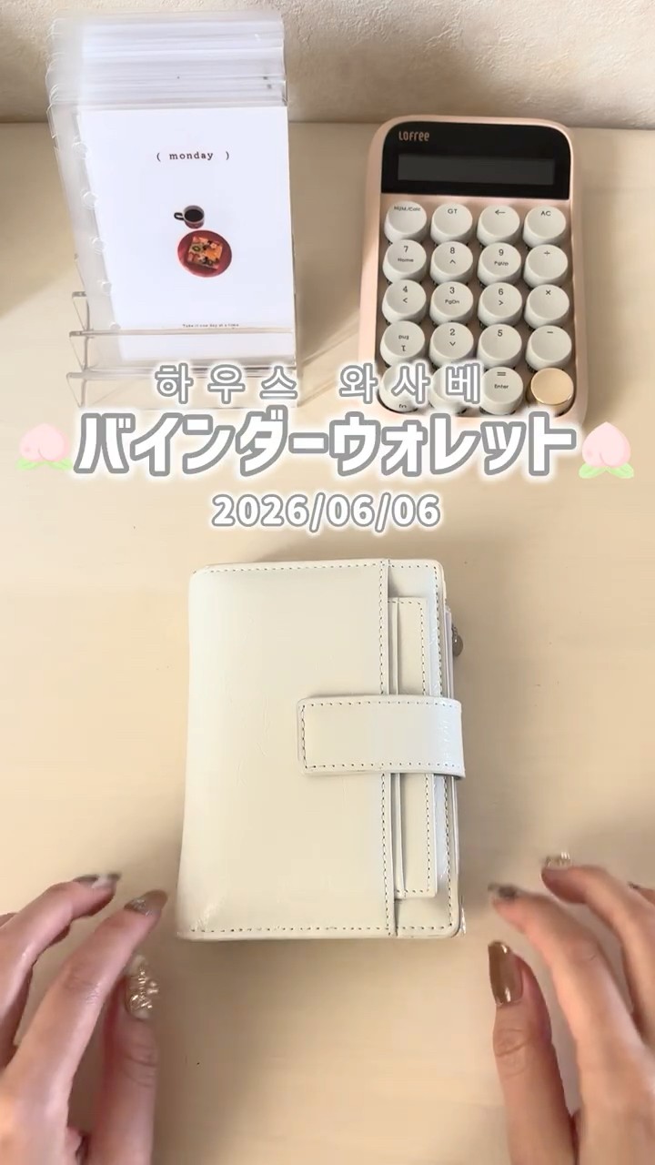 入手困難　完売品　韓国　貯金　バインダー　ミニウォレット　財布　wasabe 🌼購入品紹介🌼 韓国でバズ中💗 wasabeの「バインダーウォレット」が