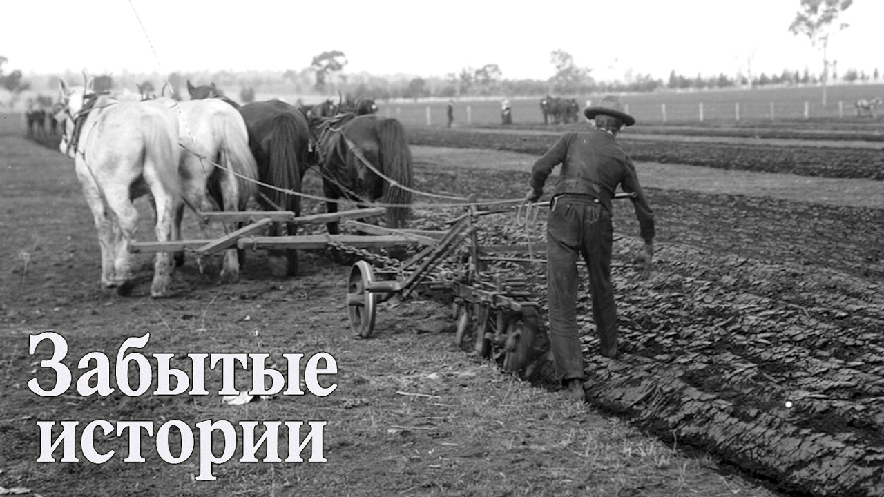 Кто на самом деле изобрёл плуг