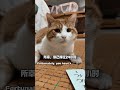 Debuting Our Adorable Pet - Cutest Pet Introduction Ever