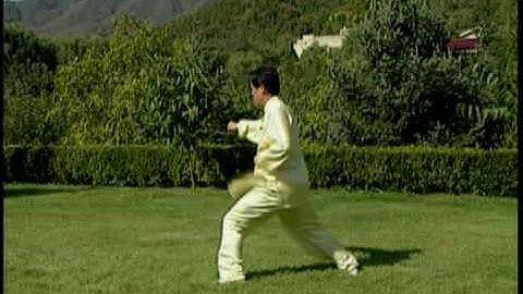 Chen Style Taiji New Frame Routine II