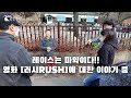 [차량이해] 레이스는 마약이다!! 영화 &#39;러시RUSH&#39;의 니키라우다에 대한 이야기 중