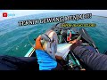 STRIKE IKAN SELAR GORGON DAN GT MENGUNAKAN TEKNIK GEWANG..KAYAK FISHING MALAYSIA #126