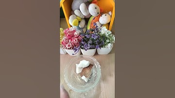 Study vlog 📚#minivlog #studyvlog #pravyavlogs #shorts #youtubeshorts  #pravyadrishya