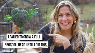 My Number One Secret to Growing Full Broccoli Heads
