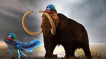 Winners win Losers lose | Mesa 3MAN | Online Wiping 1# Leaderboard