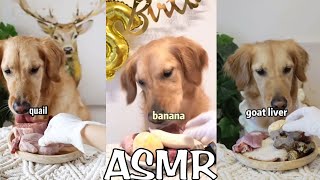 ASMR dog Reviewing Raw Beef Meat Parts!