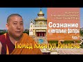 Гюмед Кхентул Ринпоче. Сознание и ментальные факторы. Занятие 1