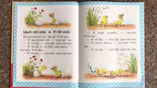 Цыпленок и Утёнок (В.Сутеев) Цыпленок и Утёнок (В.Сутеев)