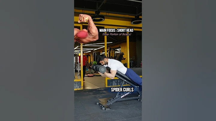 Spider Curls Setup in 10 Seconds ✅