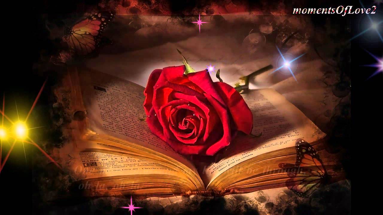Bee Gees - I've Gotta Get A Message To you(w/lyrics) - YouTube Bee Gees - I've Gotta Get A Message To you(w/lyrics) - YouTube