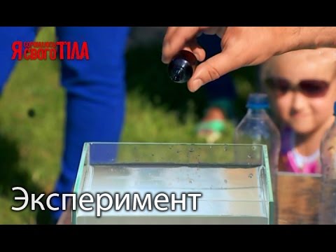 Эксперимент с гомеопатическими препаратами