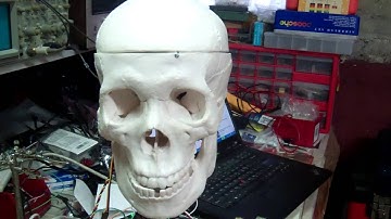 3-axis skull - movement sample