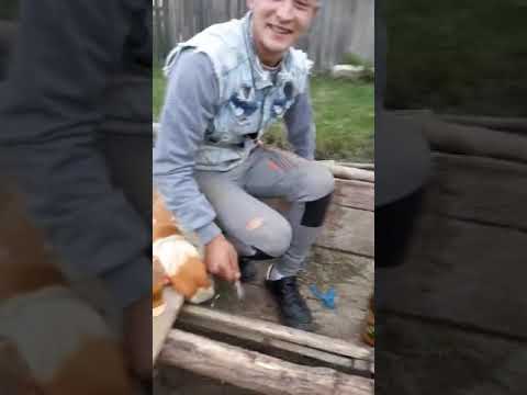 Cea mai tare