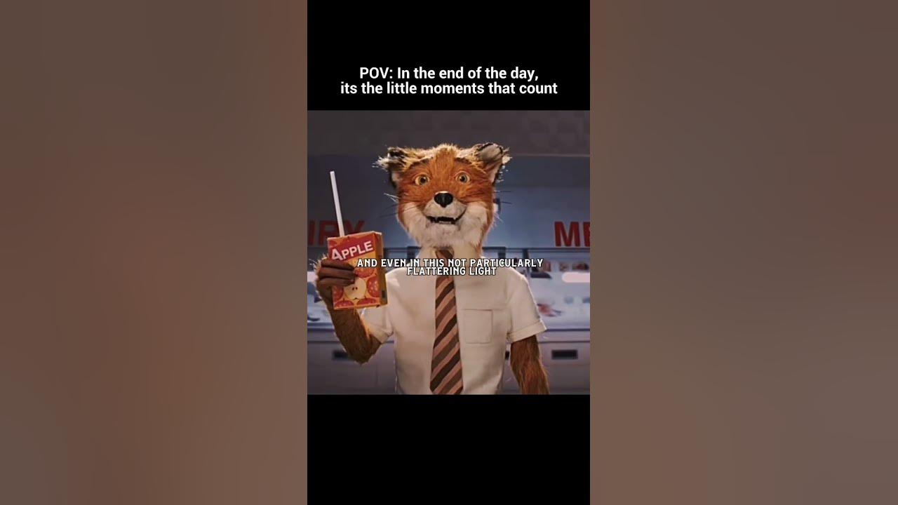 POV: in the end of the day, it’s the small moments that count | Mr.Fantastic fox edit