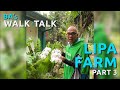 BA's Walk & Talk: Lipa Farm (Part 3)