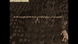 Information Runescape - Pure Strength Guide by William Dval Update