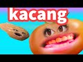 KACANG PENGEN TOMAT NYANYI