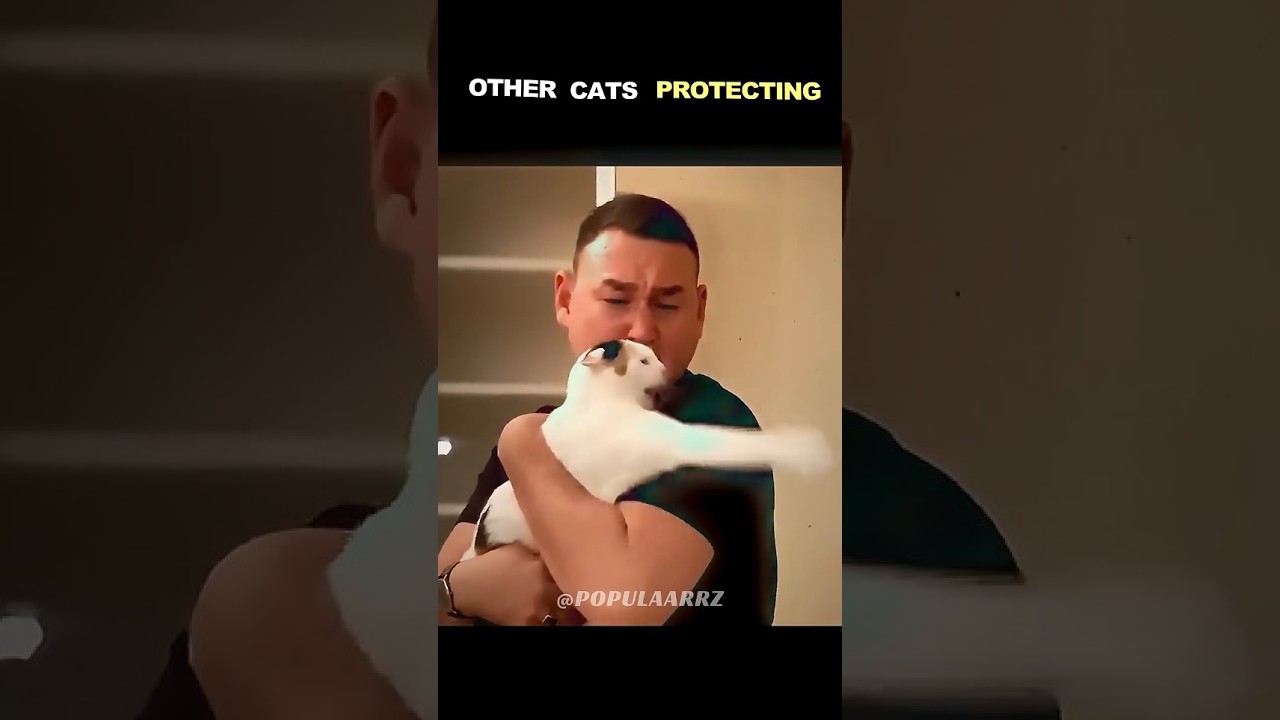 Other Cats Protect vs This One 💀#shorts
