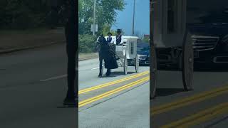 Me and my son dopa funeral for Taylor Funeral Home #horses  #chattanoogatn  #carriage  #fyp