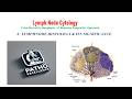 Lymph Node Histology & Its Diagnostic Significance | Cytology Series Ep 2
