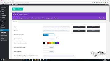Set Favicon / Bookmark / Tab Icon in Divi By Elegant Themes Tutorial