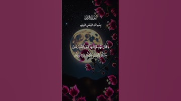 Surah Al zumar - سورة الزمر - وسيق الذين كفروا. #اكسبلور #المصحف #دويتو