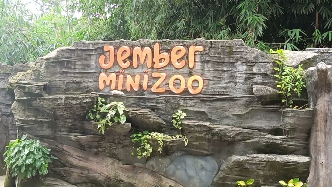 pertunjukan animals education jember Minizoo