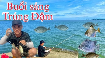 Một Buổi Sáng Phát Hiện Điểm Câu Cá Giò, Cá Ăn Như Điên! Câu Cá Biển, Câu Ghềnh