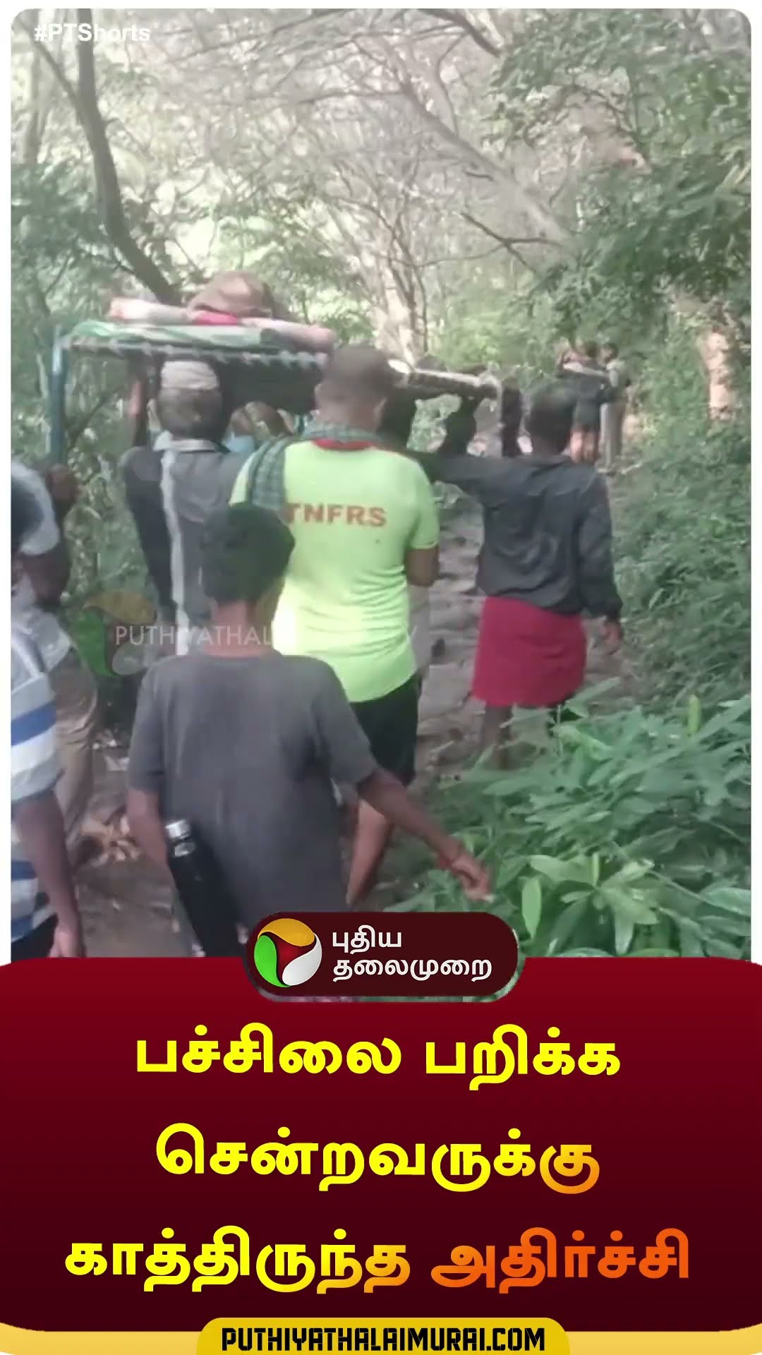 பச்சிலை பறிக்க சென்றவருக்கு காத்திருந்த அதிர்ச்சி | #shorts | #sivaganagai